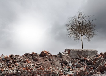 Eco-Casualties: The Environmental Effects Of War