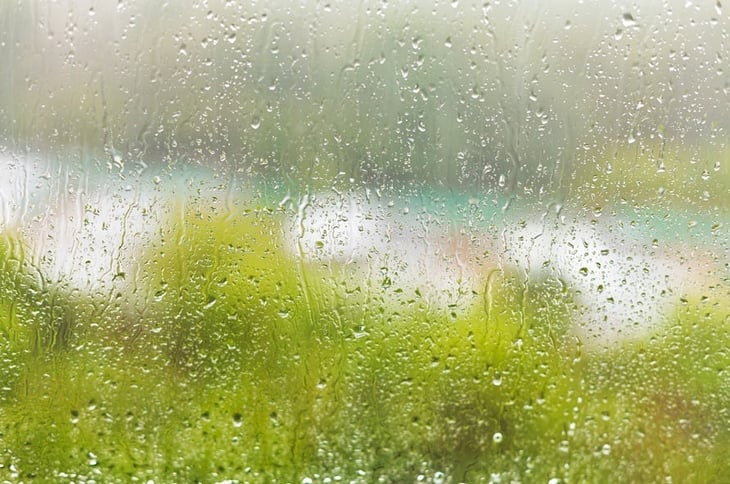 The Value Of Transparency & Environmental Liabilities