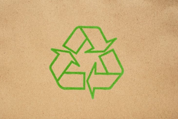 To reduce pollution, developing nations could learn from Denmark