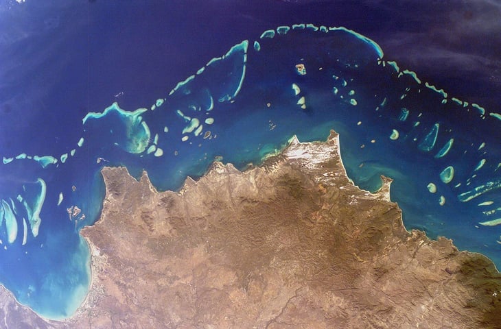 The Great Barrier Reef Is Critically Injured
