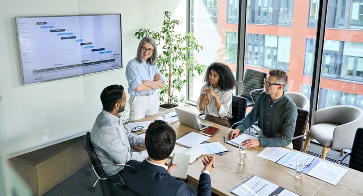 Efficiency vs. Effectiveness: Navigating Opportunities for Complex Project Leadership